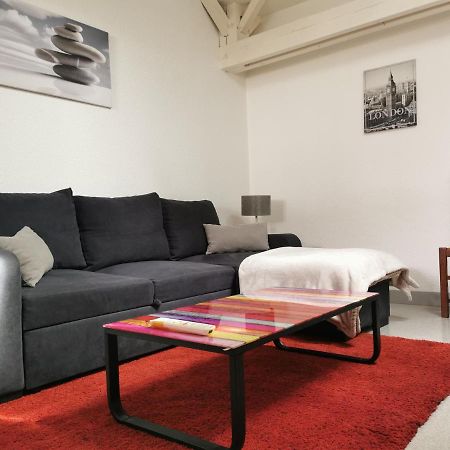 Appartement A 2 Minutes Du Centre Ville Avec Climatisation ペリグー エクステリア 写真